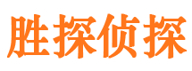 师宗寻人公司